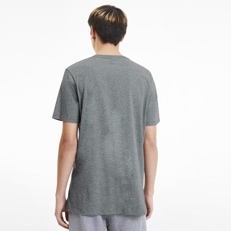 Áo tay ngắn nam PUMA AP Graphic Tee Box Logo Medium Gray Heather